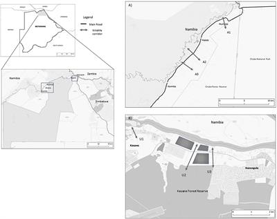 Who is adjusting to whom?: Differences in elephant diel activity in wildlife corridors across different human-modified landscapes